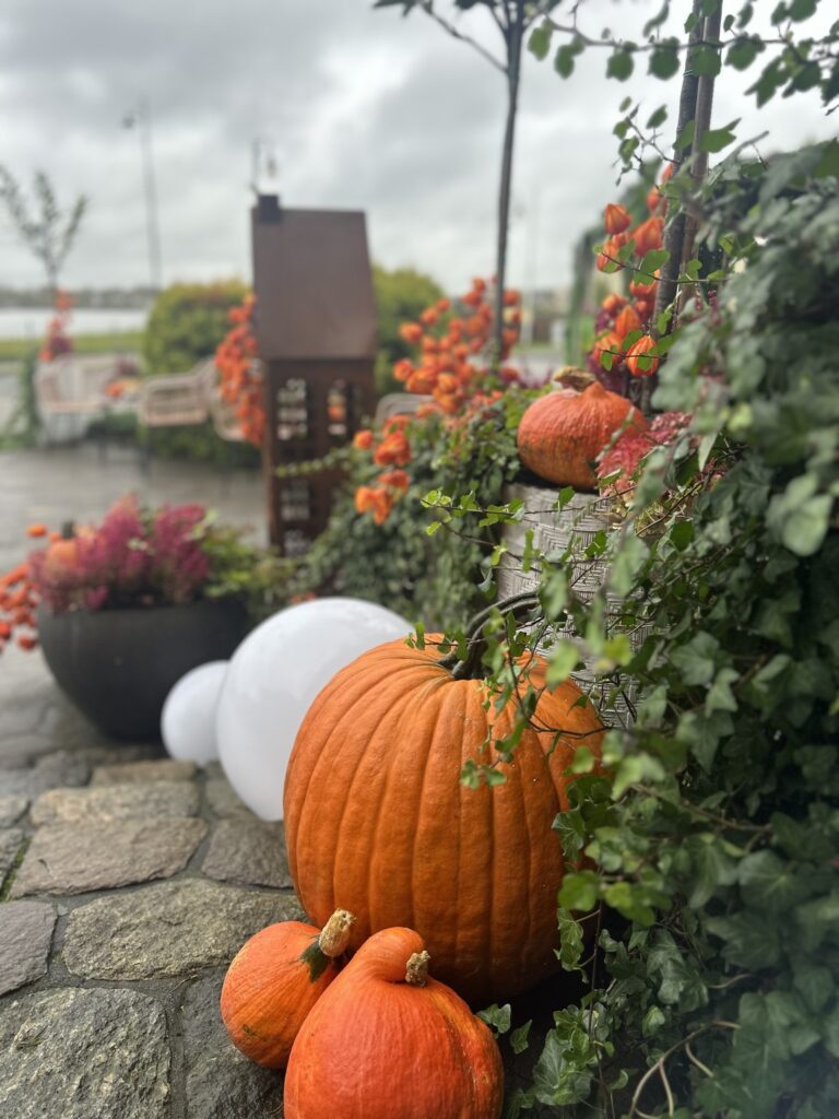 Jesienne dekoracje w restauracji Złota Jesień